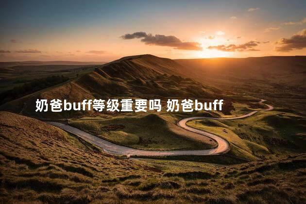 奶爸buff等级重要吗 奶爸buff强化登记装备